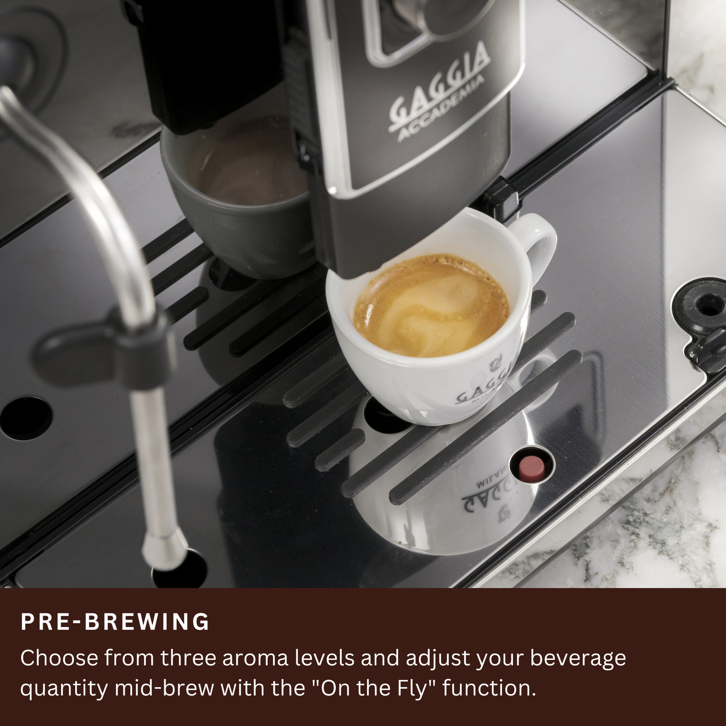 Gaggia New Accademia | 19 Drinks At Tap of Icon | 2 Milk Systems - Milk Carafe and Steam Wand | Control Water Flow Through Coffee | Luxury Black Glass Facade | Made in Italy
