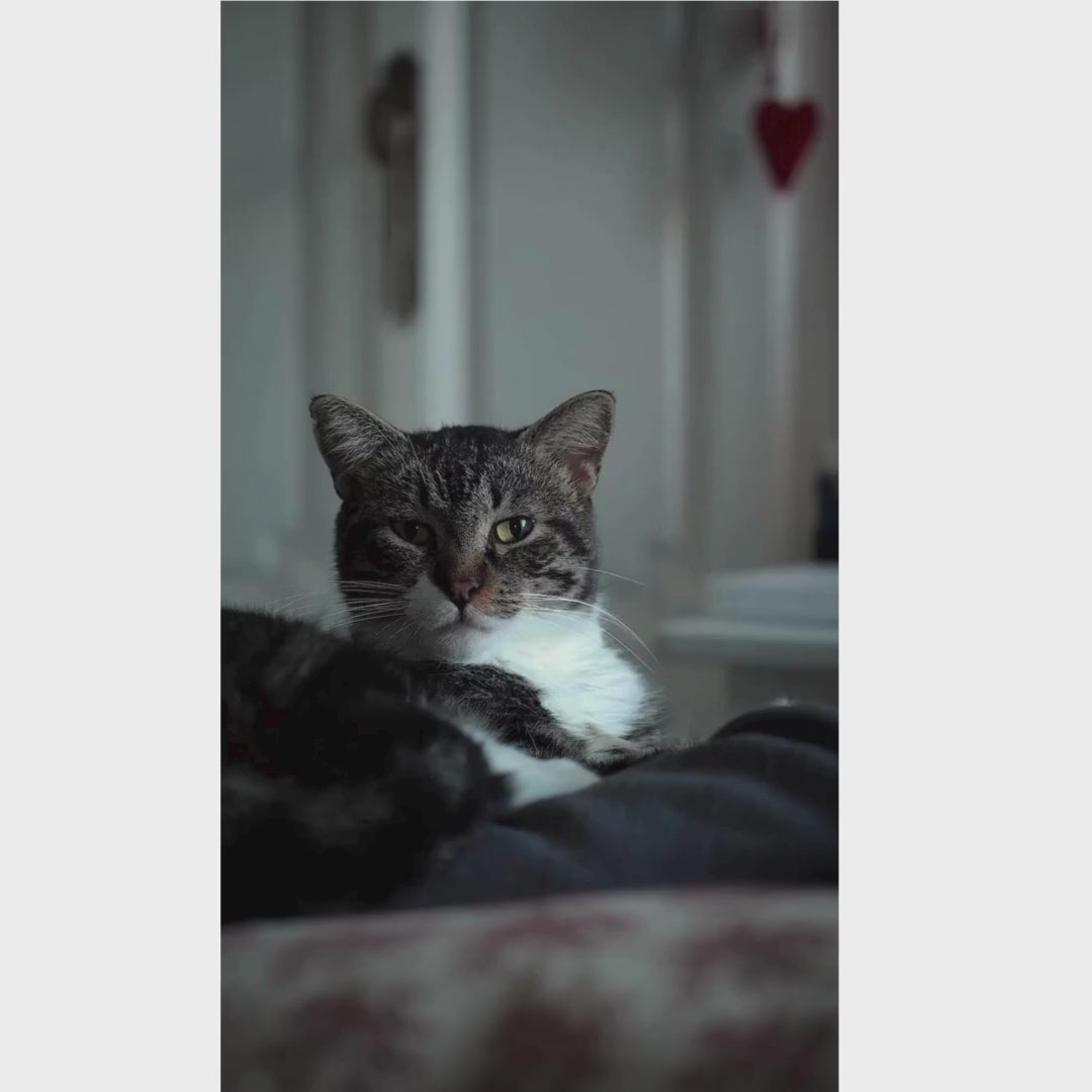 Gaggia Classic E24 | Brass Boiler & Brew Group | Premium SS Filter Holder & 58mm SS Portafilter | Made in Italy | 15-Bar Pump Espresso Machine | Polar White